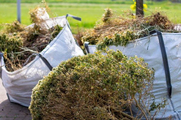 Best Affordable Junk Removal Services  in Webster, SD